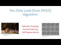 Animal Detection & Tracking with YOLO