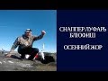 Океан кипит от блюфиш. Осенний жор. Сентябрь 2017