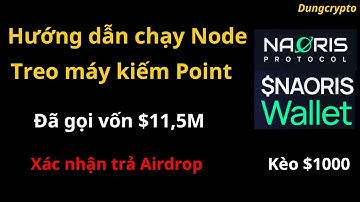 Kèo chạy node $1000 Naoris Wallet Tesnet - Hướng dẫn chạy Node Depin Naoris Protocol| Dungcrypto