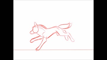Wolf run cycle/animation