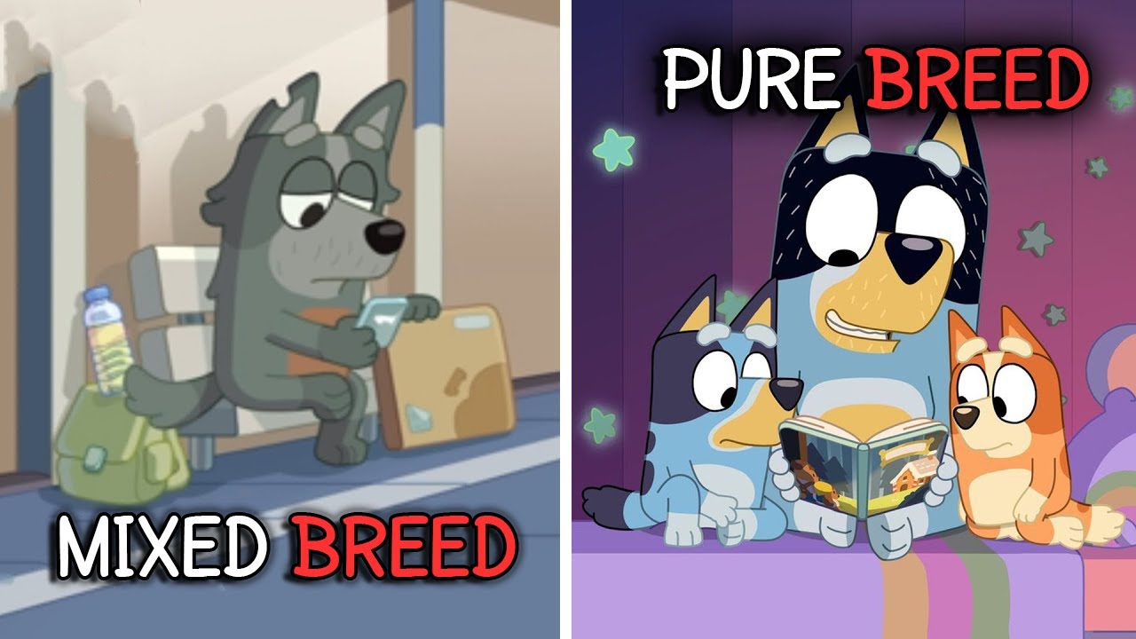 THE BLUEY CONSPIRACY: Is Bluey's Society SECRETLY Divided? *THEORY*