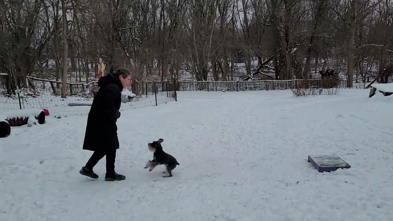 WTWL 2025. Match #4. Kym and Phil.