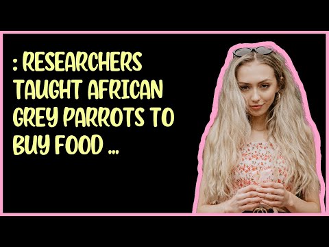 186  RESEARCHERS TAUGHT AFRICAN GREY PARROTS TO