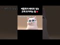 애플에서 권장하는 워치 배터리 성능 높이는 꿀팁