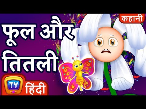 वीडियो: सुपर सीनियर डॉग बस एक नज़र के साथ एक महिला का दिल चुराता है