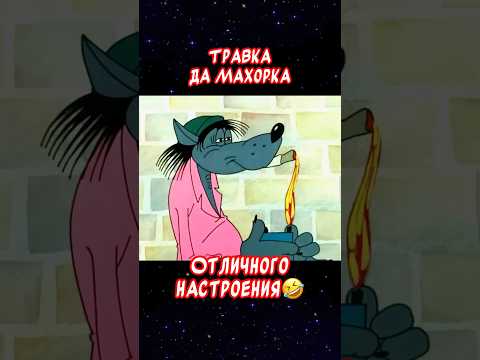 Я босяк🤣 Мой косяк…Весёлая открытка для отличного настроения👍#весёлаяоткрытка