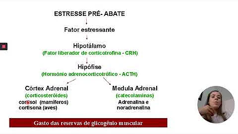 Como ocorre a acidificação do músculo?