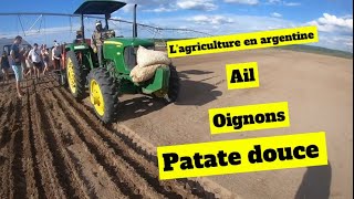 L’agriculture en Argentine…Retour sur un chouette voyage… en 2019…