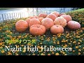 【中止アナウンス】ナイトハイ・ハロウィーン