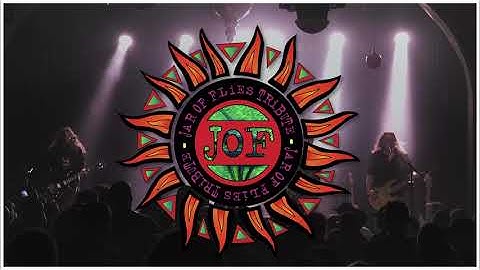 Jar of Flies Tribute Band - Would? - Live 2024