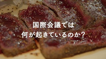 “食”と“科学”としてのクジラを語り尽くすドキュメンタリー『鯨のレストラン（英題：Whale Restaurant）』予告編【2023年9月2日公開】