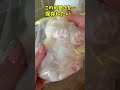 世界平和、この子に捧げたい😌