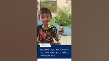 XÚC ĐỘNG: HỌC TRÒ VÙNG CAO TẶNG HOA RỪNG TRI ÂN THẦY CÔ NHÂN NGÀY 20-11