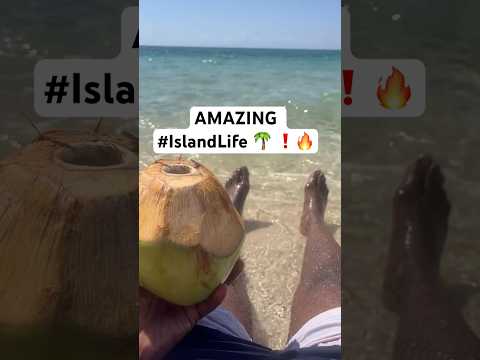REFRESHING COCONUT on the beach #shorts #caribbeanisland #jamaica #islandlife