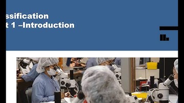 Workers  Comp Classification Basics