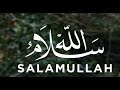 أغنية سلام الله بصوت مصطفى العفيفى   بدون موسيقى