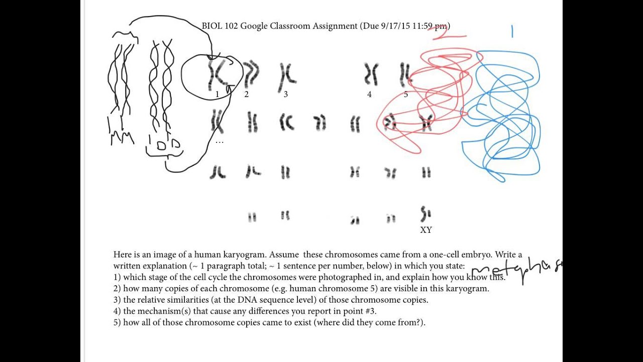 150918 Test 1 Review