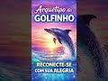 Arquétipo do Golfinho | Ative a Leveza, Desperte Sua Intuição e Transforme Sua Energia Agora