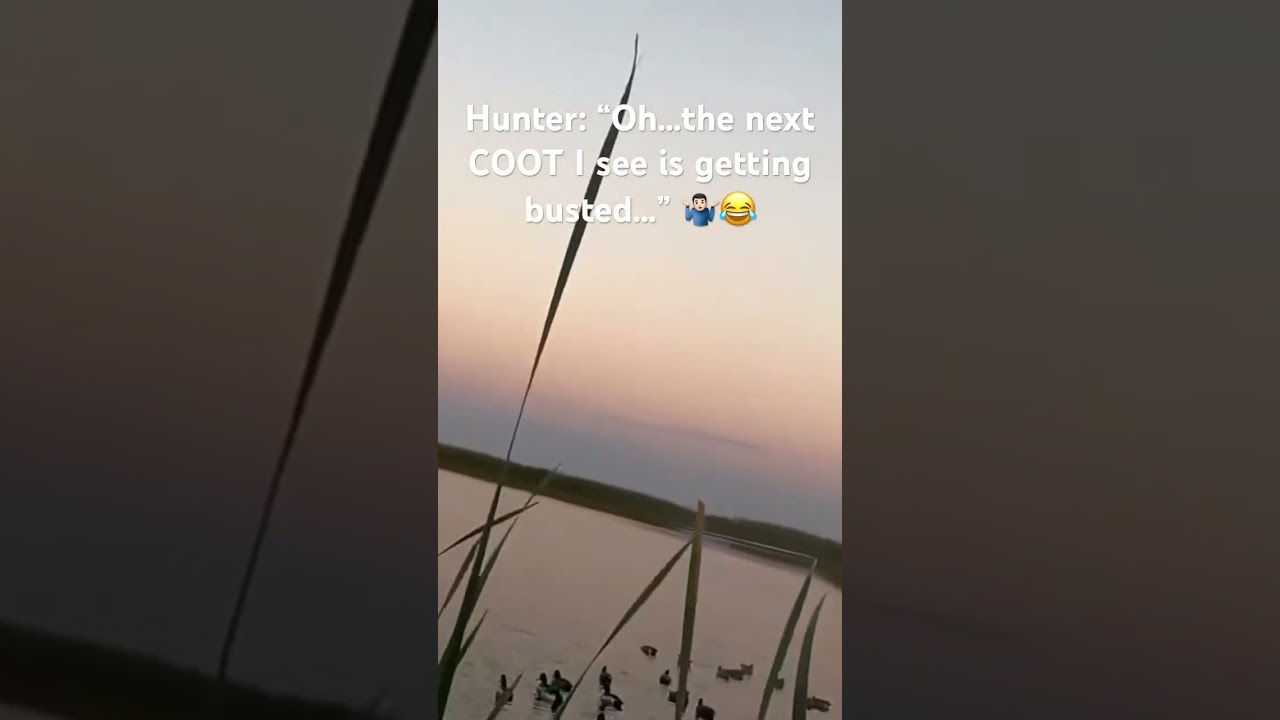 Where’s my COOT shooters out there!?!? 👊👊👊 