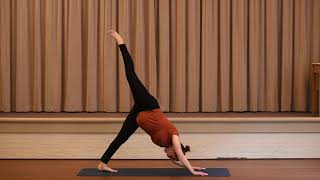 Zwangerschapsyoga Opleiding - Zonnegroet Surya Namaskar screenshot 2