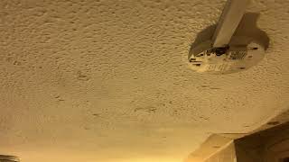 IMG 5538 00:27 13 MAY 2026.