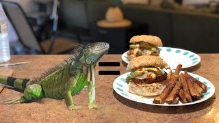 Catch Clean and Cook Iguana CheeseBurgers! Cooking wild Florida Iguana!