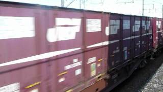EF66形(JR貨物標準色)(2次車)+コキ50000形(20両)