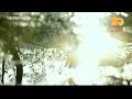 TBC ID 문경 돌리네습지 2025 07 15 