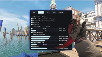 MOST UNDERRATED AND CHEAP CS2 EXTERNAL CHEAT ft. delusion.ing (CS2 Legit Cheating)
