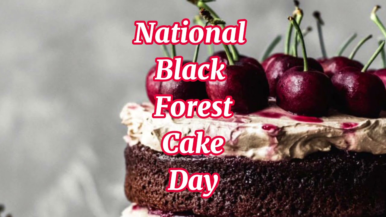 National Black Forest Cake Day Cake GIF - National Black Forest Cake Day  Black Forest Cake Day Black Forest Cake - Discover & Share GIFs