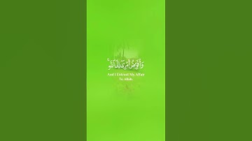 روائع التلاوات النادره لفضيله الشيخ عبد الباسط عبد الصمد رحمه الله عليه #اكسبلور #حالات_واتس