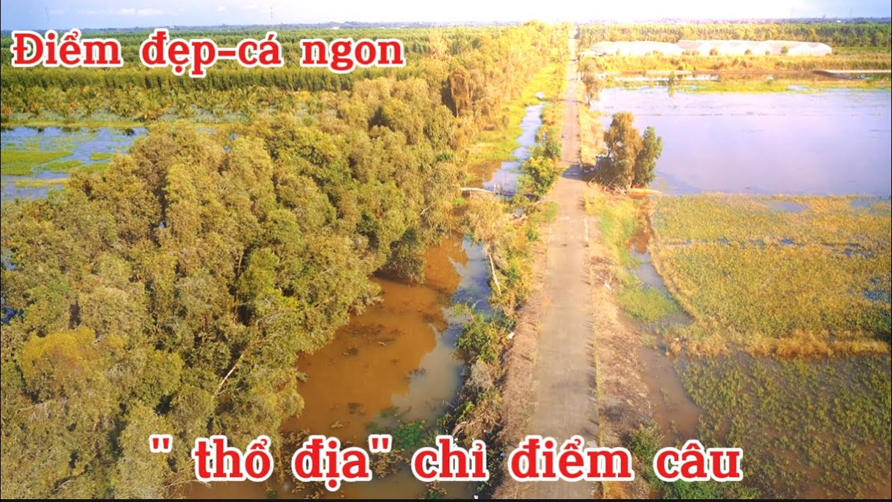 Thổ địa dẫn đi câu kết quả sao là hiểu rồi nhe.bí hiểm mấy điểm câu này luôn.