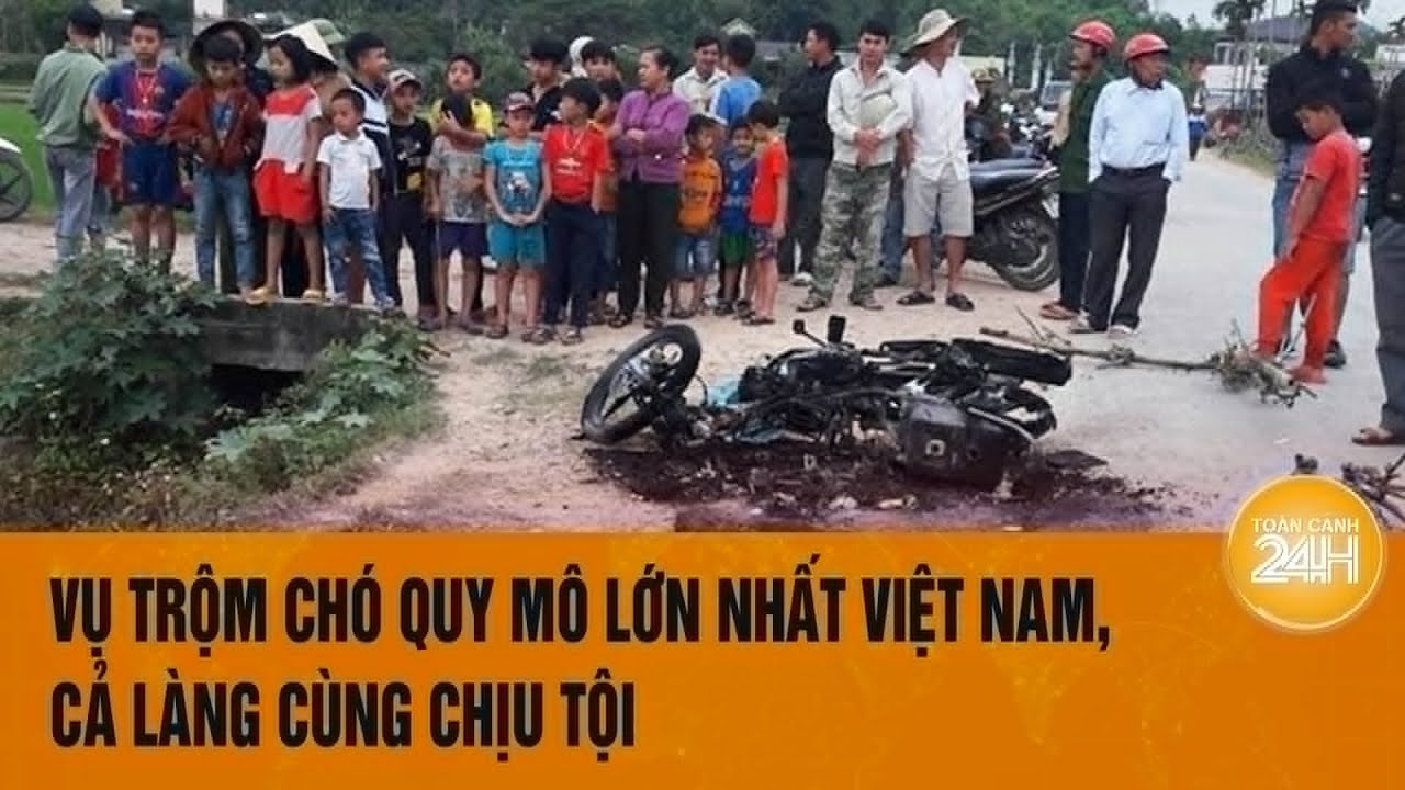 Vụ trộm chó quy mô lớn nhất Việt Nam, cả làng cùng chịu tội