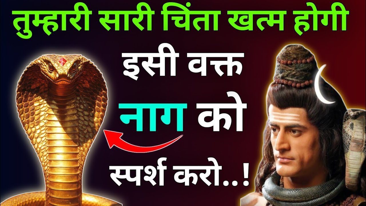 तुम्हारी सारी चिंता खत्म होगी ✨ इसी वक्त नाग 🐍 को स्पर्श करो |Mhadev Updesh |Mhadev Vani 