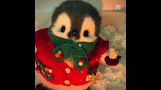 I love it penguens #edit #editing #education #memes #keşfet #penguen