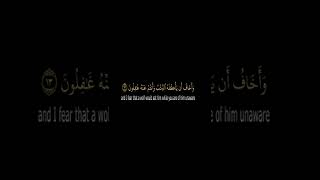 قَالَ-إِنِّي-لَيَحۡزُنُنِيٓ الشيخ محمد صديق المنشاوي سورة يوسف شاشة سوداء|كروما قرآن shorts#