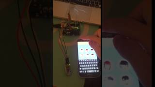 IMG 3172