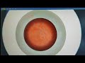 PTFE Gasket Automated Inspection System  Calidad🇷🇺