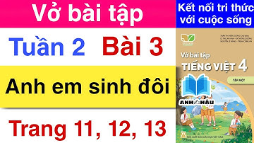 VỞ BÀI TẬP TIẾNG VIỆT 4 | TUẦN 2 | BÀI 3 | ANH EM SINH ĐÔI | Trang 11 12 13 | KẾT NỐI TRI THỨC tập 1