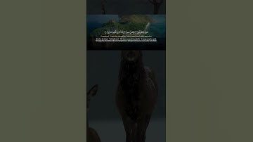 Listen to Surah Al-Inshiqaq Now! | اسمع سورة الانشقاق بصوت خاشع #QuranTikTok