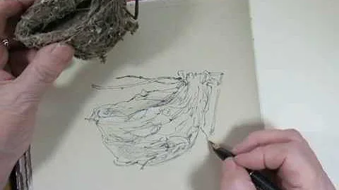 Sketching in Nature