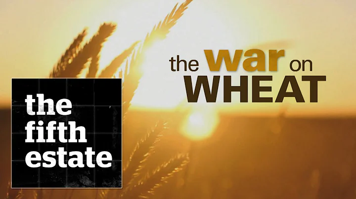 The War on Wheat - the fifth estate