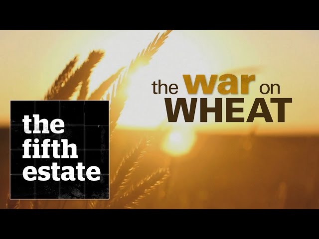 The War on Wheat - the fifth estate class=