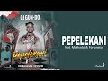 Dj gundo sa  pepelekani official audio visualizer feat makhadzi  fortunator