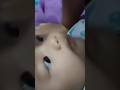Nyandain Dedek Bayi Nyandain Dedek Bayi