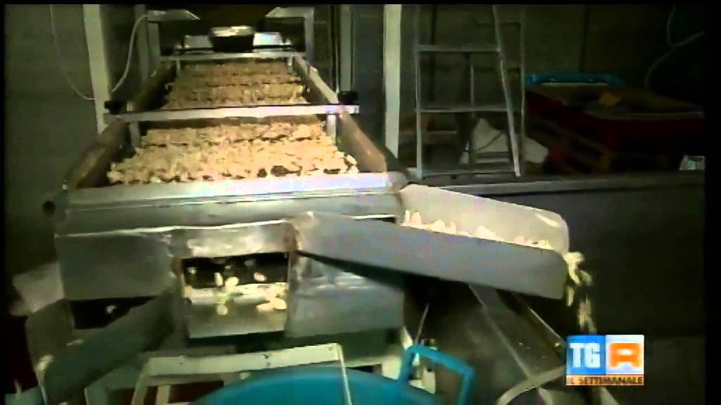 RAI REGIONE SULLA MANDORLA DI AVOLA