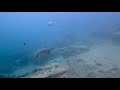 Narrowneck Reef &amp; Gold Coast Seaway - 14.06.2025 | Entry #29
