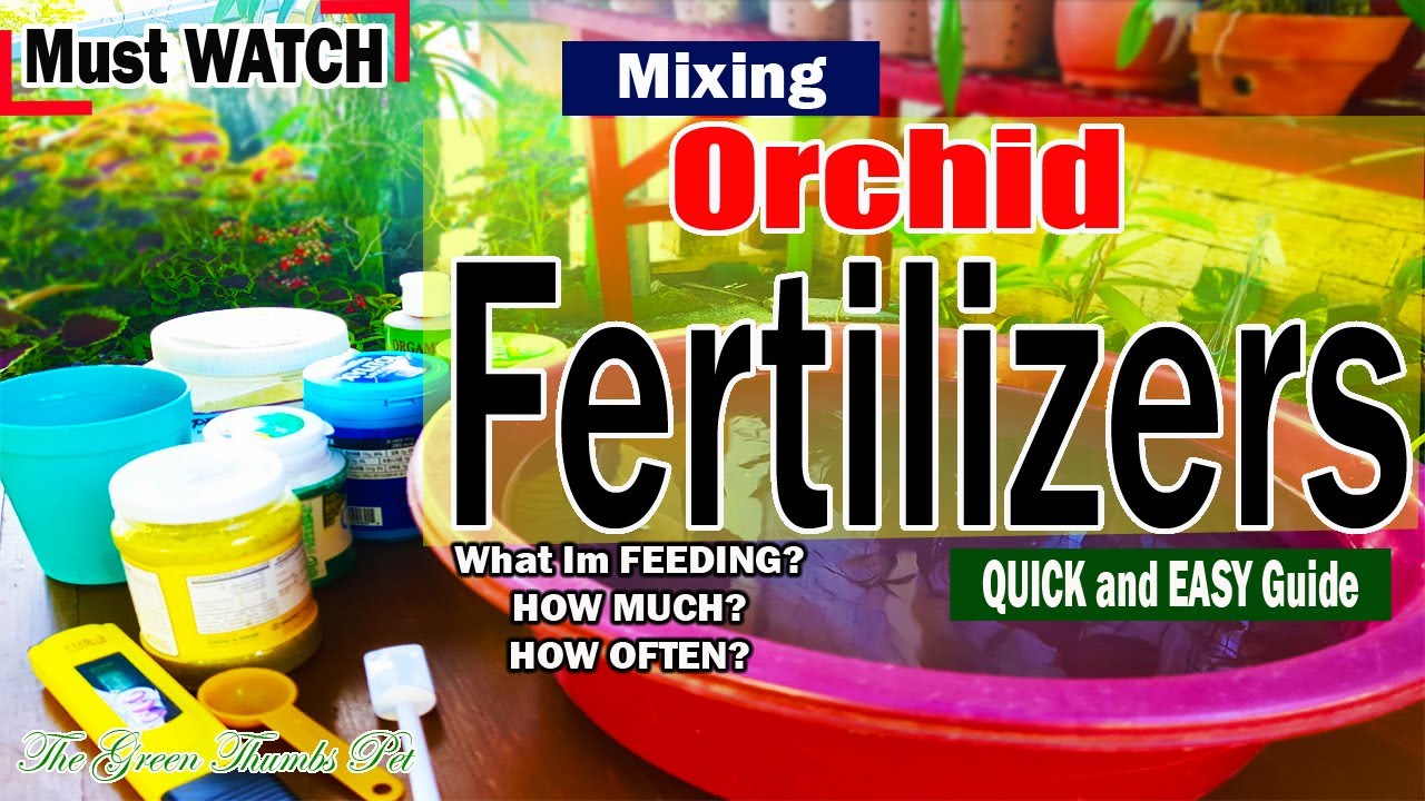 MIXING ORCHID FERTILIZERS | How I do it? | What I'm feeding? | How often I feed?