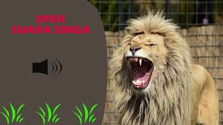 efek suara singa