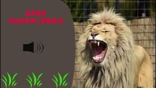 efek suara singa